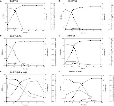 Hyper-Osmotic Stress Elicits Membrane Depolarization and Decreased Permeability in Halotolerant Marine Debaryomyces hansenii Strains and in Saccharomyces cerevisiae